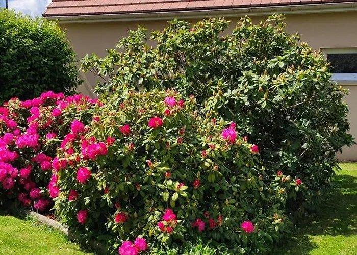 Appartement Le Ptit Normand Entre Ville&plages Loucelles